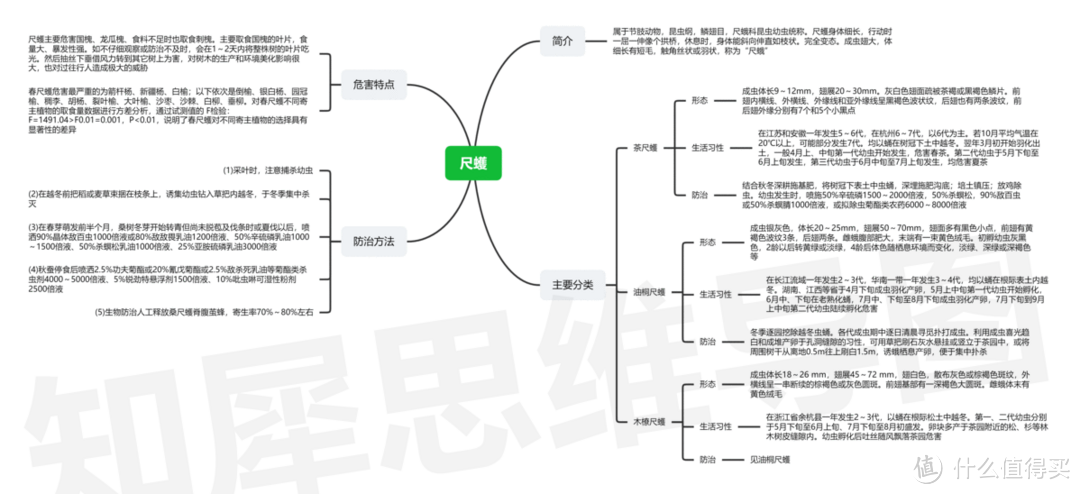 昆虫记思维导图,高清脑图模板分享