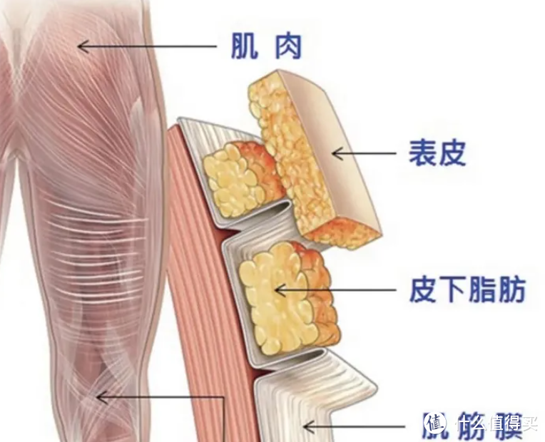 医生不建议用筋膜枪吗？务必当心三大风险槽点