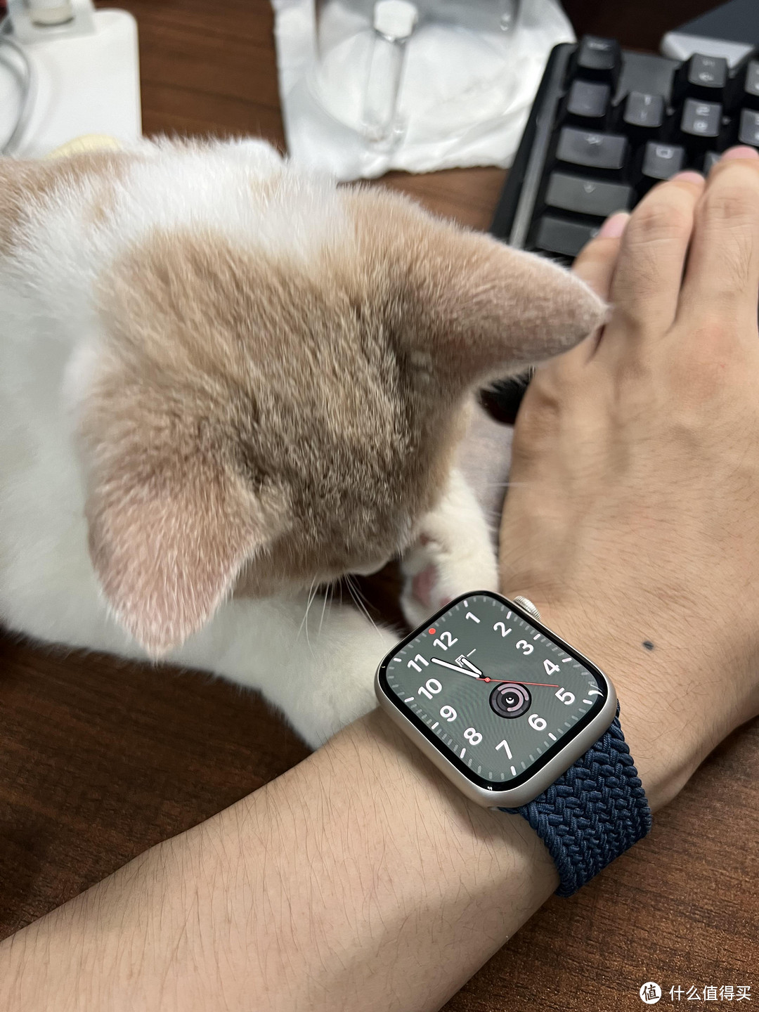 Apple Watch Series 9:没什么必要换