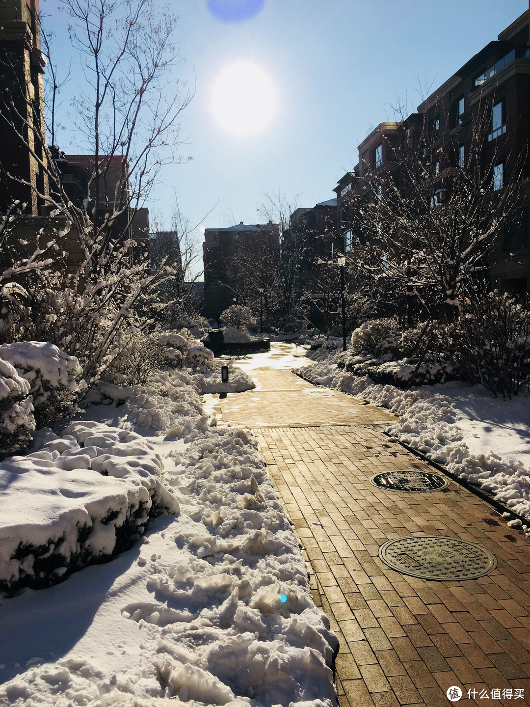 大雪纷飞，记录美景