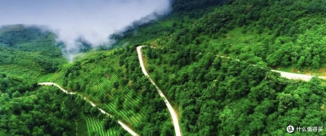 春节反向旅行!“过年旅居”三亚不再是首选,这4座城更被人追捧
