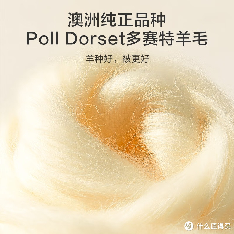 京东京造净暖羊毛被 100%澳洲多赛特羊毛被子秋冬加厚被芯(7.0斤) 2.0*2.3