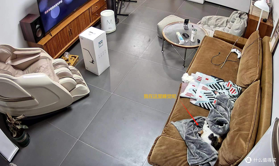 养宠必备神器，春节假期将至，利用群晖NAS+网络摄像机监控留守小可爱
