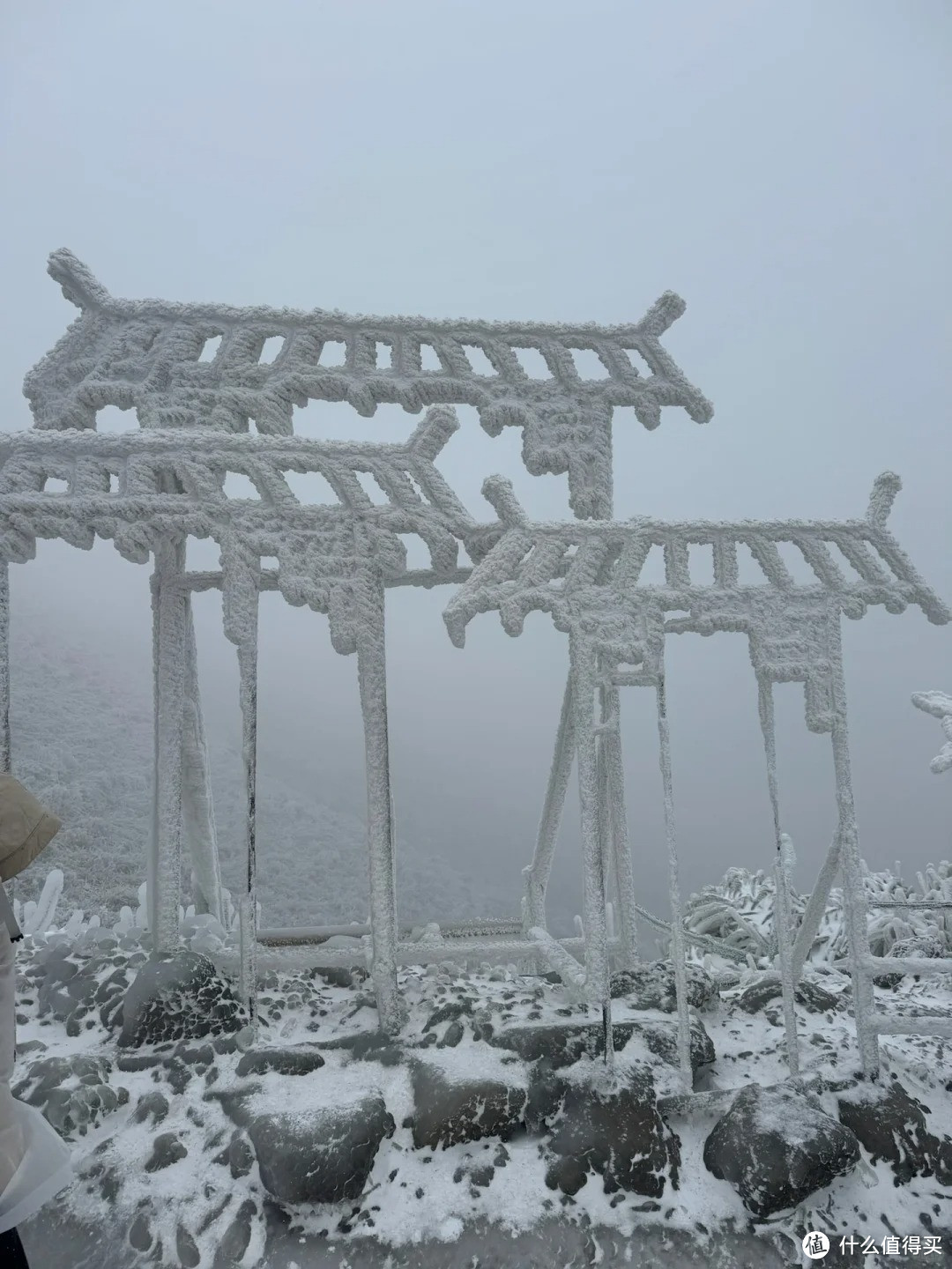 不是哈尔滨去不起❄️而是广东看雪更有性价比