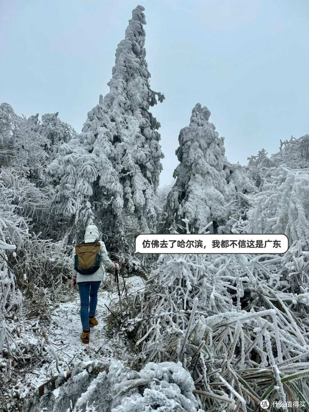 不是哈尔滨去不起❄️而是广东看雪更有性价比