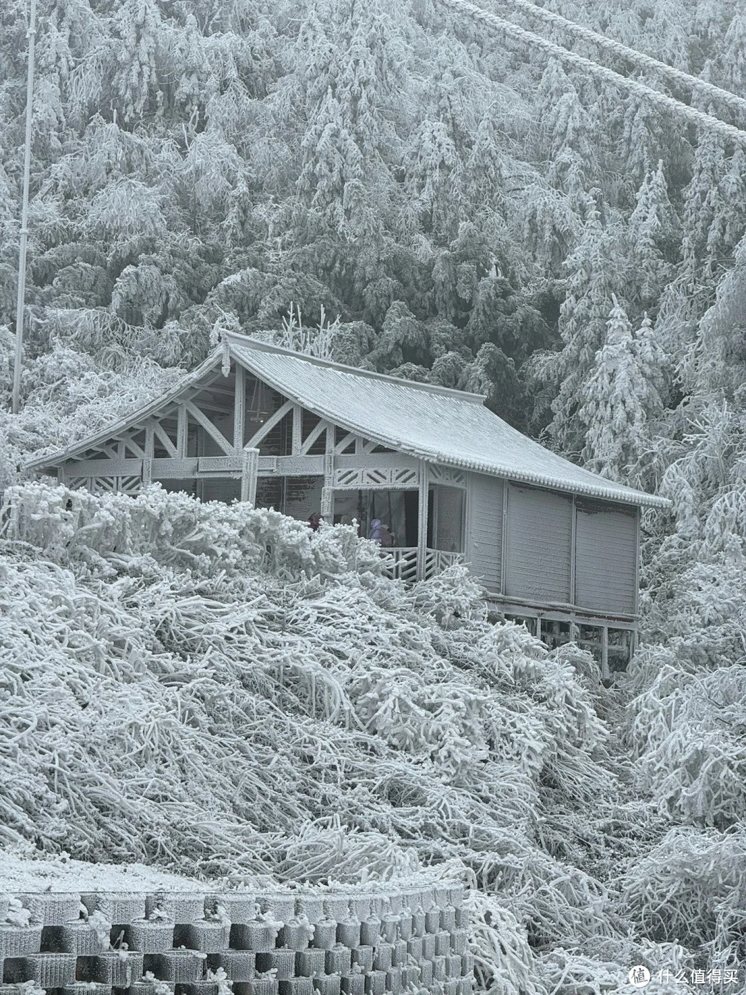 不是哈尔滨去不起❄️而是广东看雪更有性价比