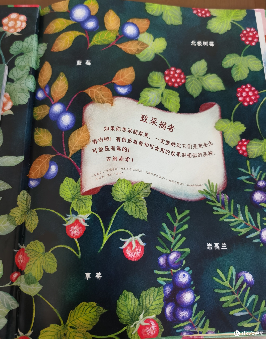 这本海豚童书带来的曾获得2023年凯迪克银奖作品的儿童绘本——《浆果之歌》,过年期间正好安排上