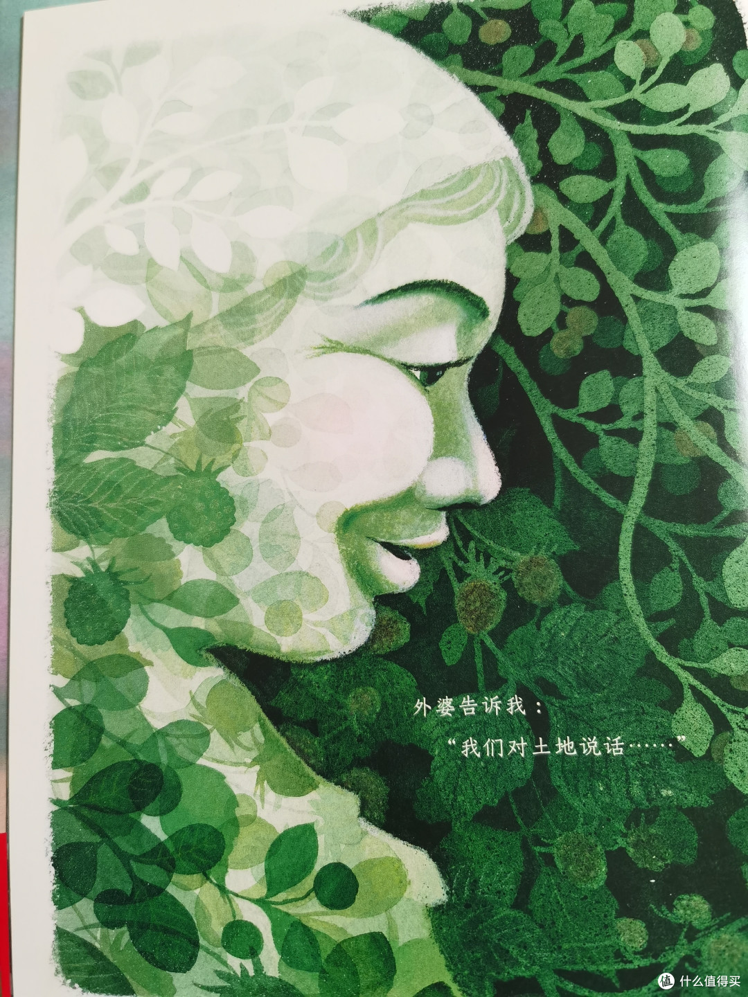这本海豚童书带来的曾获得2023年凯迪克银奖作品的儿童绘本——《浆果之歌》,过年期间正好安排上