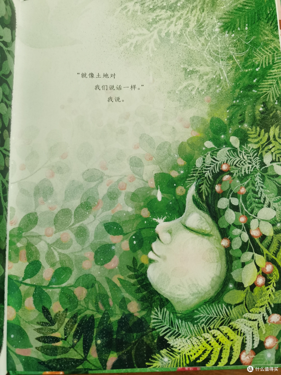 这本海豚童书带来的曾获得2023年凯迪克银奖作品的儿童绘本——《浆果之歌》,过年期间正好安排上