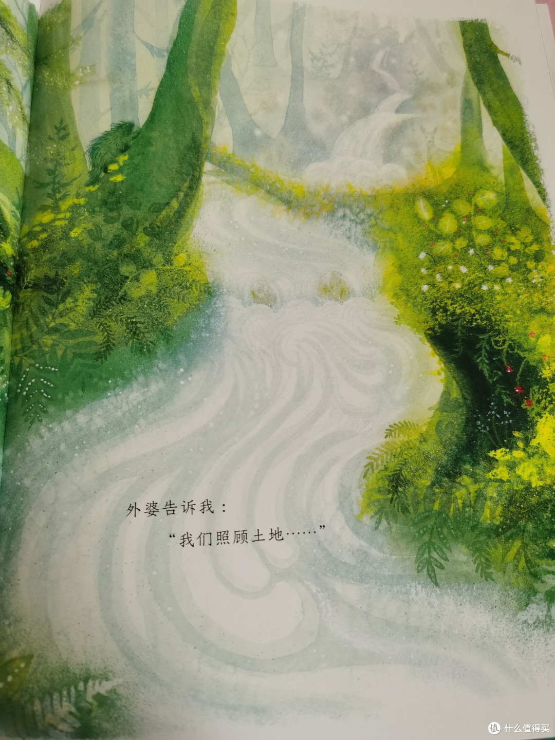 这本海豚童书带来的曾获得2023年凯迪克银奖作品的儿童绘本——《浆果之歌》,过年期间正好安排上