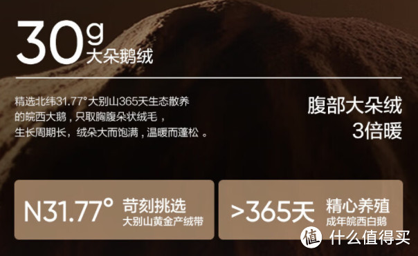 395g充绒顶级羽绒，降价啦！中国大鹅焱系，首次降到1249元~还要什么加拿大鹅？