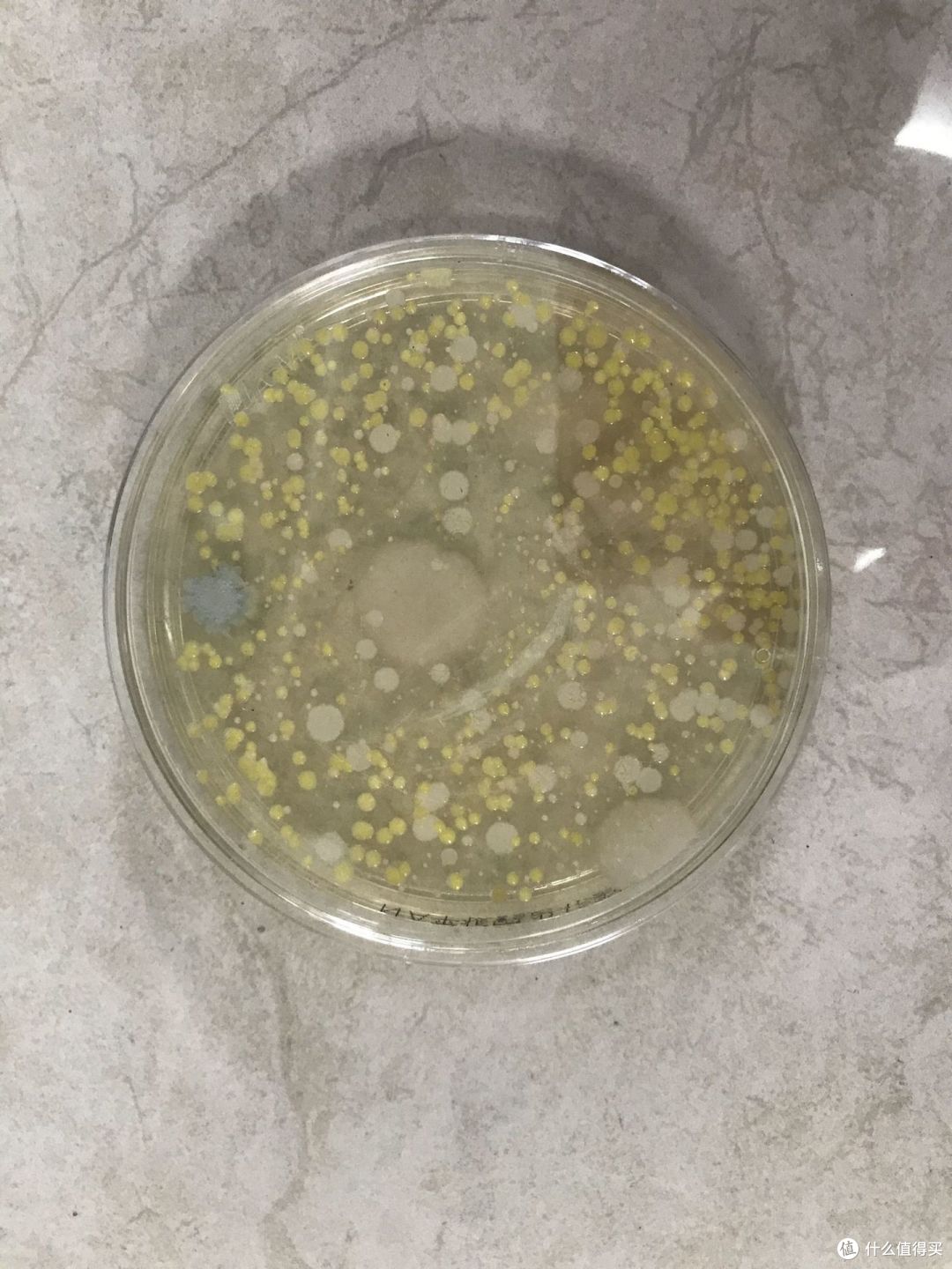 集成洗碗机究竟是黑科技还是智商税?如何选购集成洗碗机?最近很火的美的灵动集成洗碗机XH09实测测评