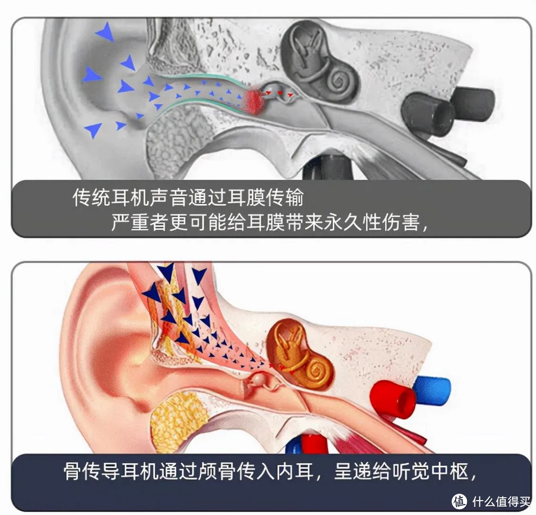 骨传导耳机该怎么选？南卡、韶音、瑞德罗曼、纽曼、象鼻子等热门骨传导耳机怎么样？