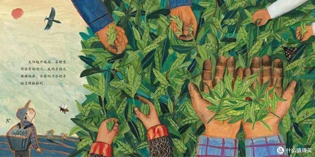 带一本书,去更大的世界——《爸爸的茶园在山顶》