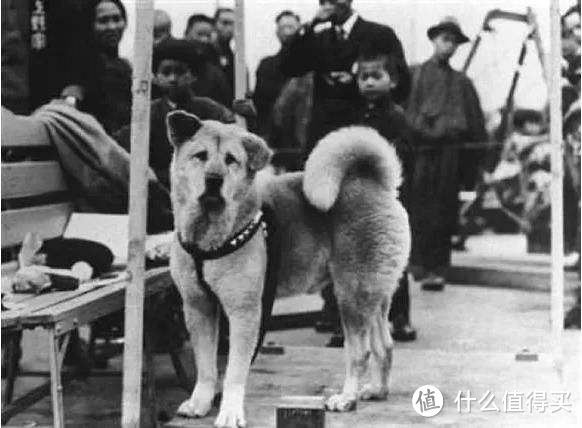 富士山之旅 2:登高远眺东京城市天际线