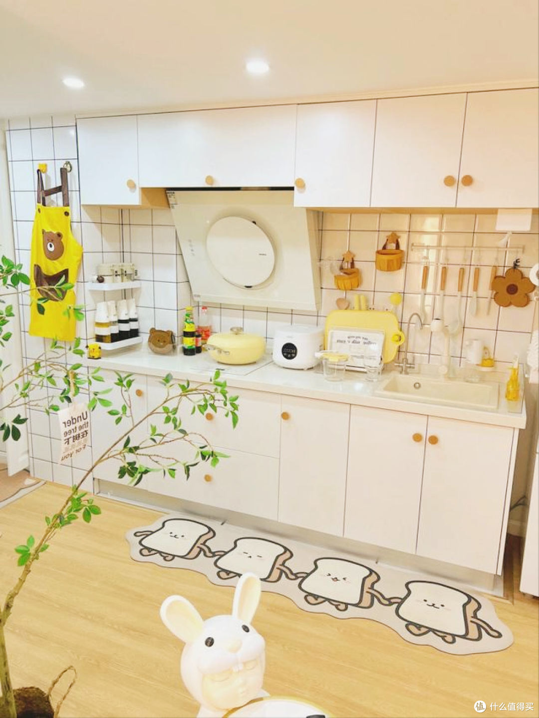 上海一独居阿姨的小屋火了,凭一个客厅就圈粉无数,那叫一个治愈