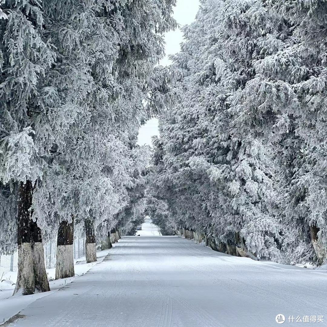 齐岳山雪景图片