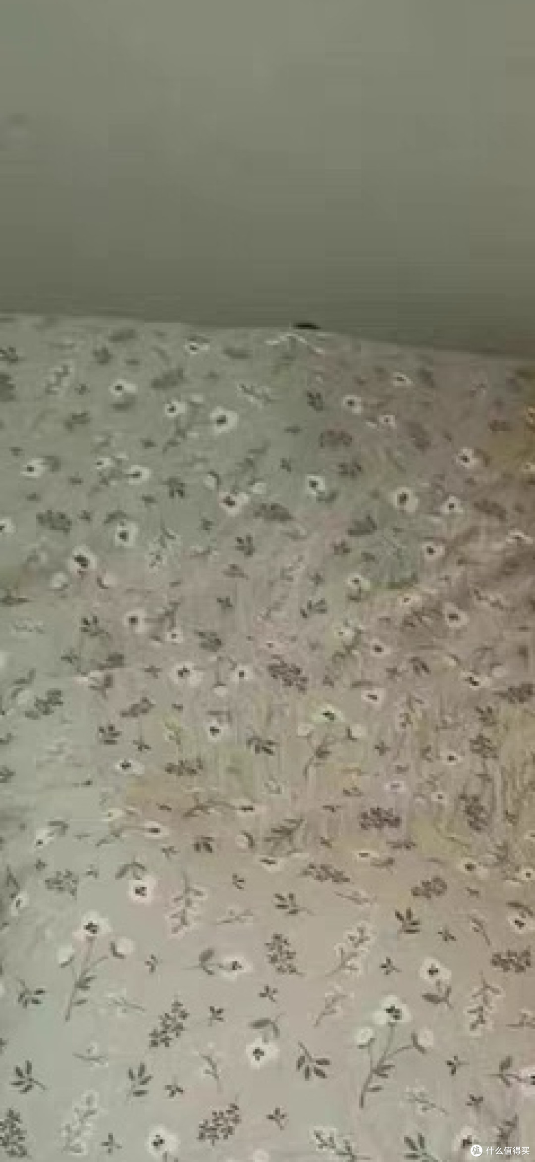 洁丽雅枕头