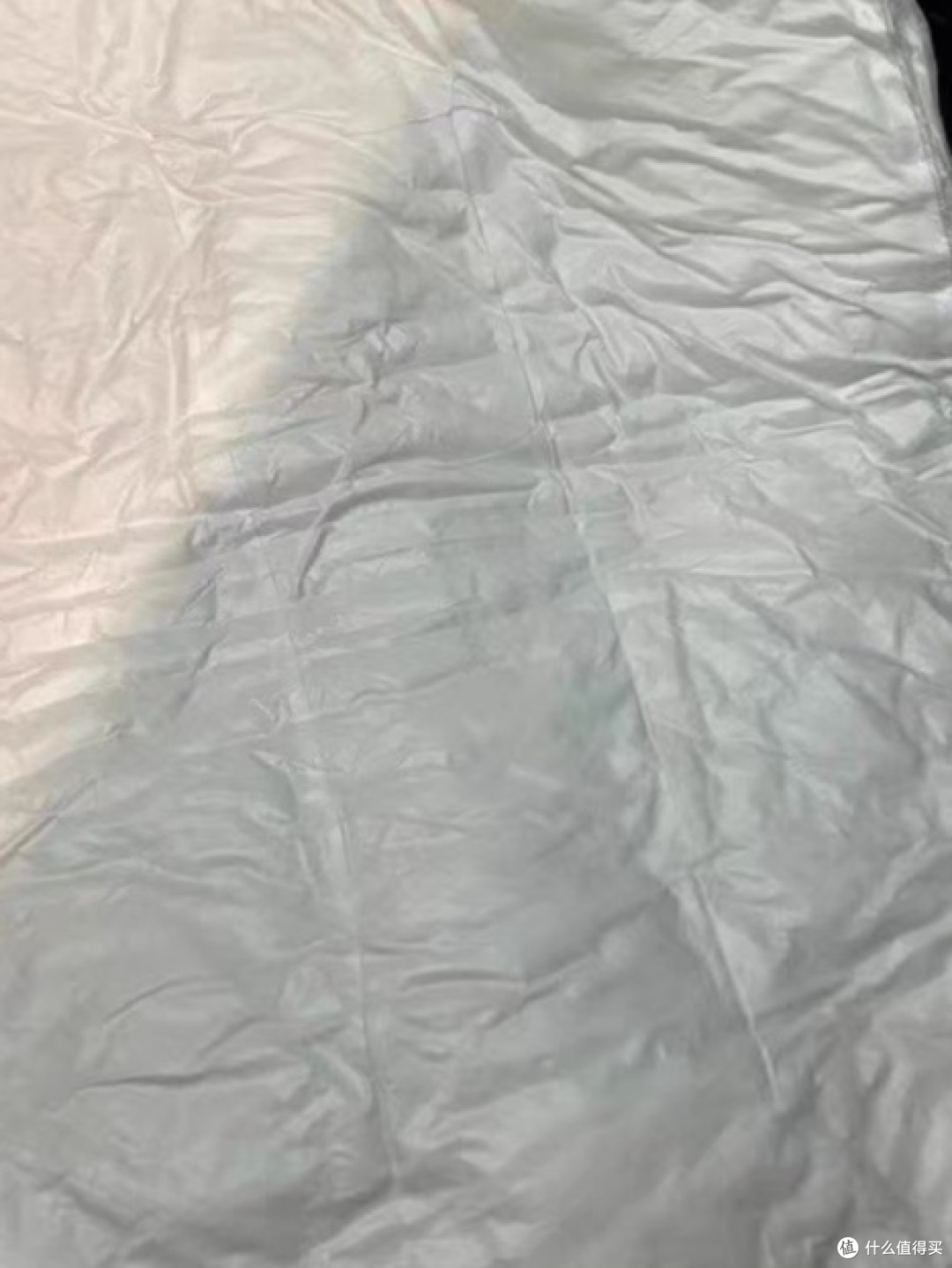 洁丽雅枕头