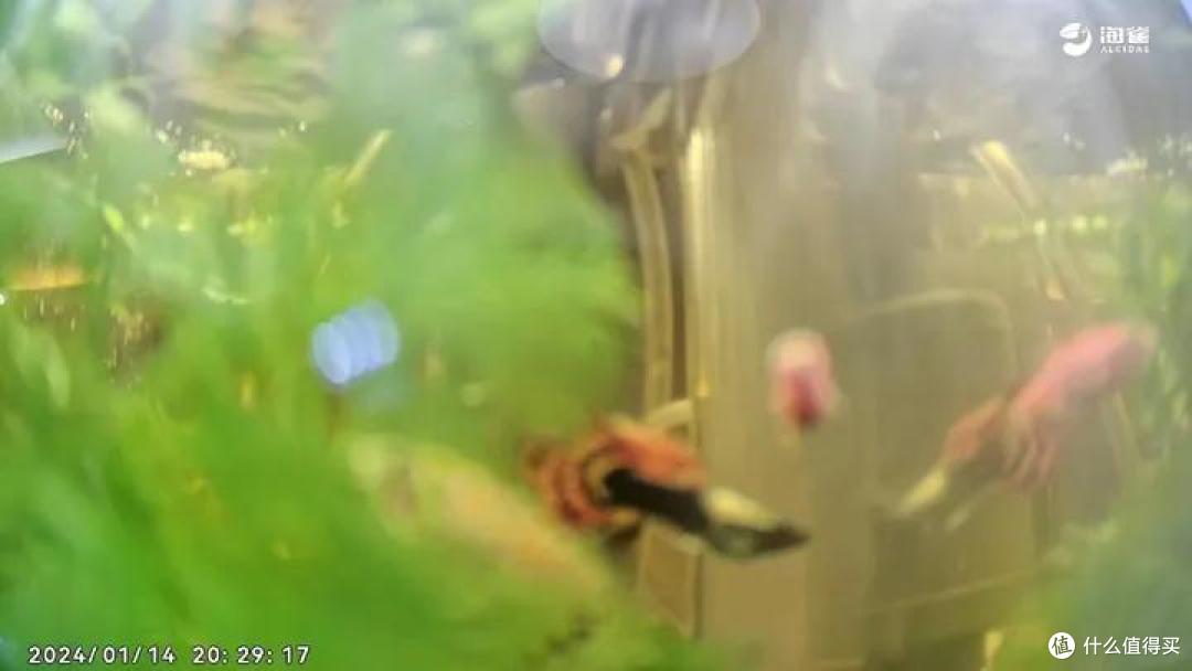 有什么好的家用摄像头推荐？华为海雀全场景摄像头真实测评~