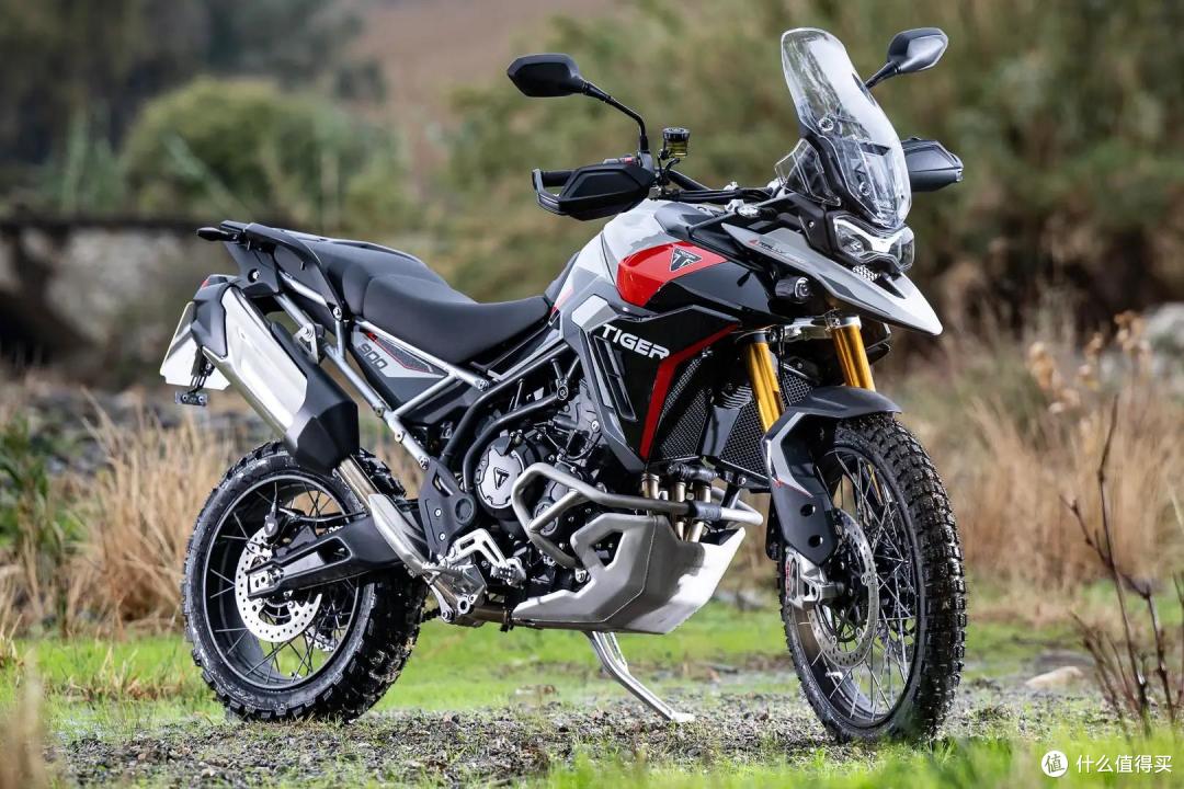 2024 Triumph Tiger 900 Rally Pro