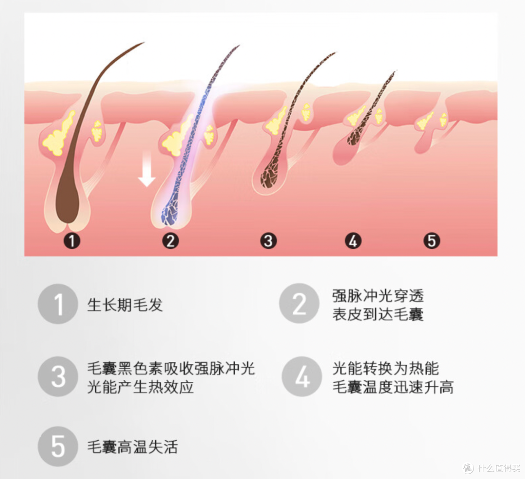 猕猴桃女孩如何实现根源性脱毛?脱毛仪怎么选不踩雷?Ulike Air3蓝宝石冰点脱毛仪体验怎么样?