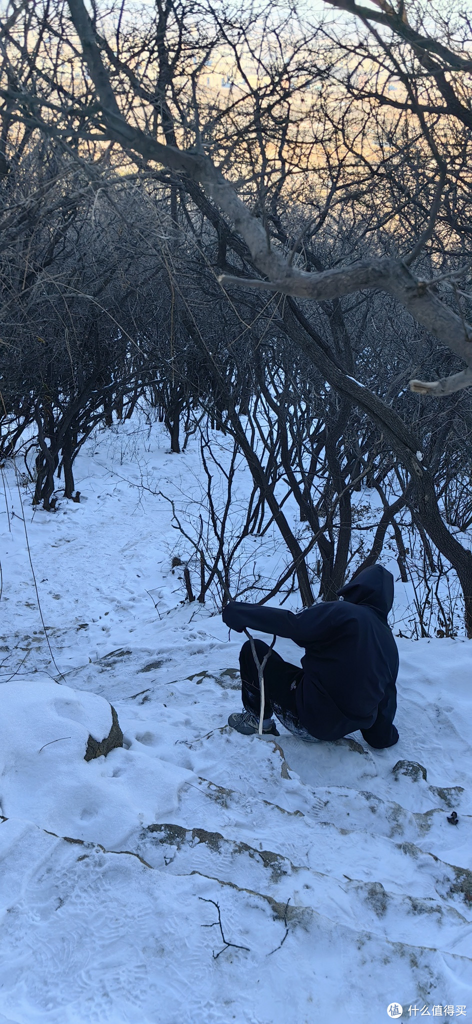 龙年，多进行步步高升的运动，多参加步步高升的活动