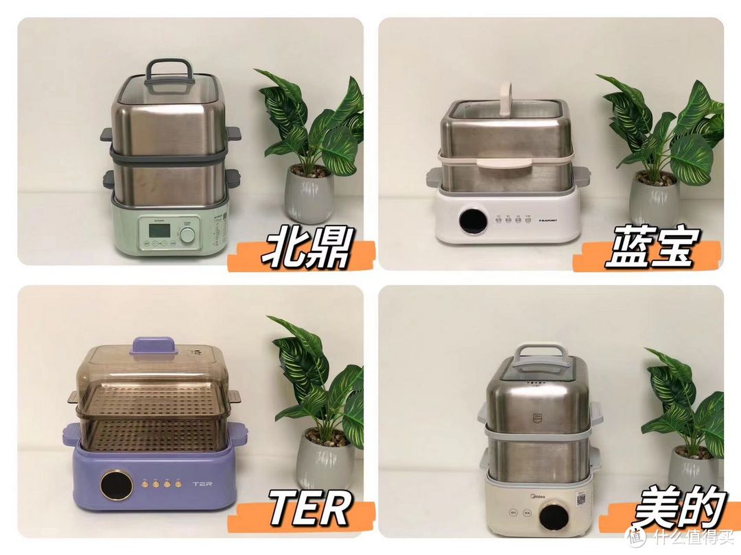 有没有好用的多功能蒸炖锅推荐?北鼎、蓝宝、美的、TER等4款热门蒸炖锅测评分享