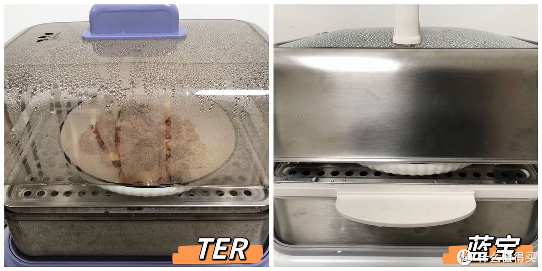 有没有好用的多功能蒸炖锅推荐?北鼎、蓝宝、美的、TER等4款热门蒸炖锅测评分享