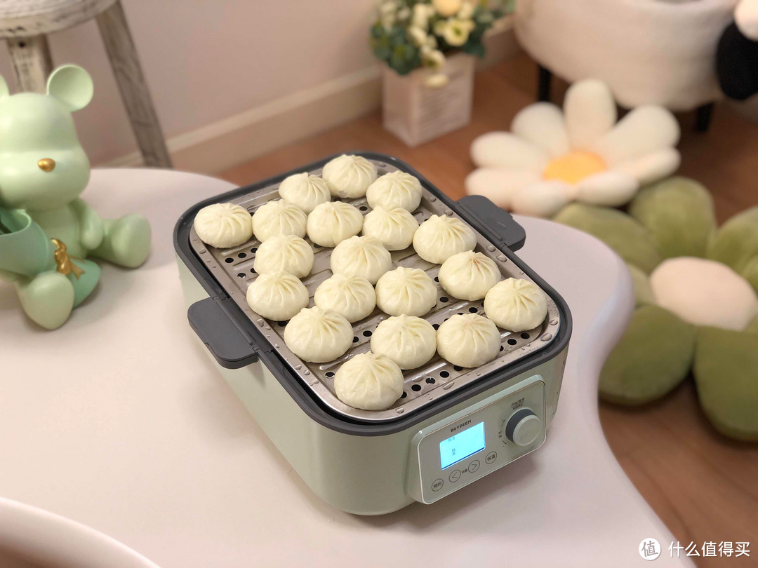 有没有好用的多功能蒸炖锅推荐?北鼎、蓝宝、美的、TER等4款热门蒸炖锅测评分享