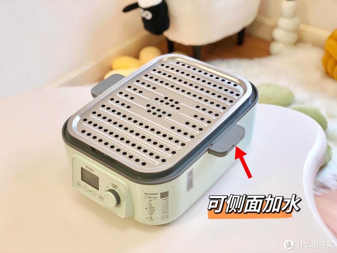 有没有好用的多功能蒸炖锅推荐?北鼎、蓝宝、美的、TER等4款热门蒸炖锅测评分享