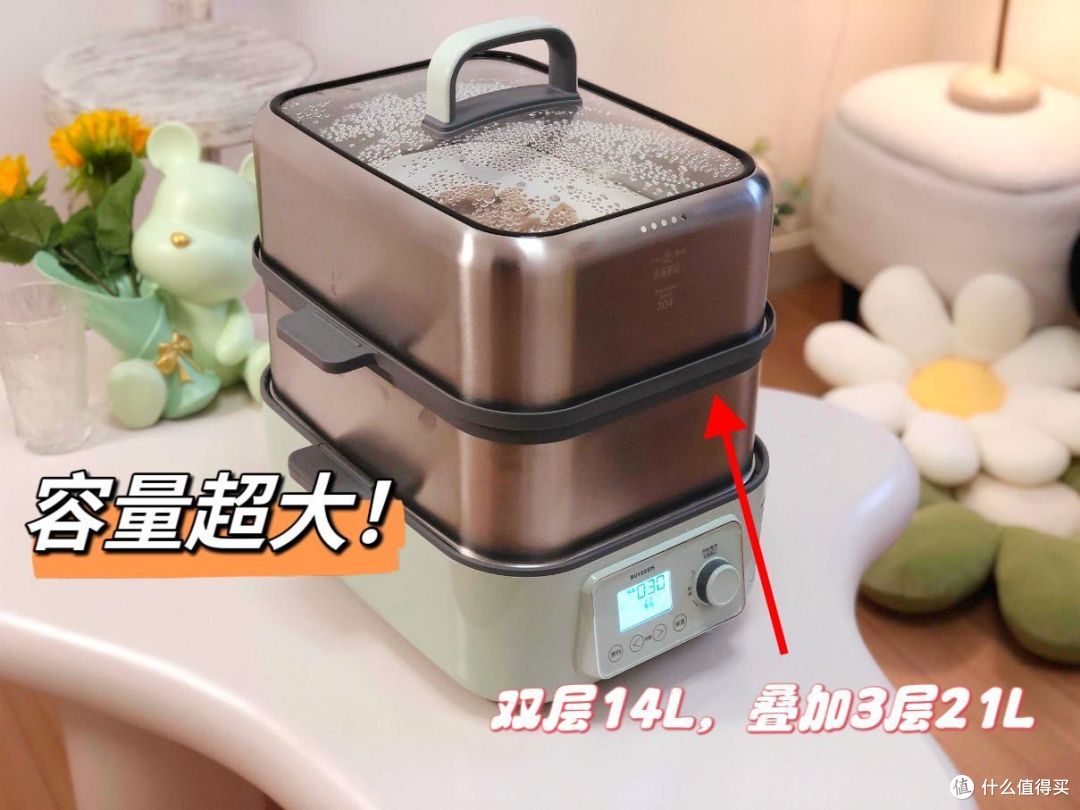 有没有好用的多功能蒸炖锅推荐?北鼎、蓝宝、美的、TER等4款热门蒸炖锅测评分享