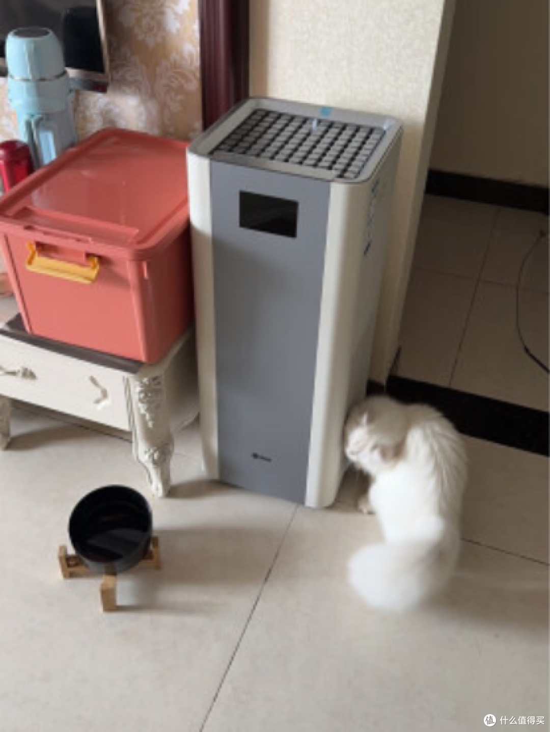 养猫家庭如何挑选宠物空气净化器?猫用空气净化器品牌推荐!