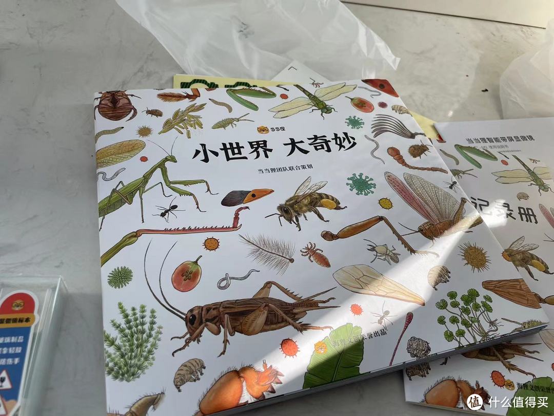 初一的生物寒假作业，终于可以借着儿子学习理由买个显微镜玩，实现儿时梦想。