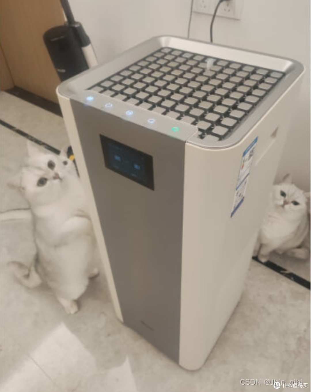 宠物空气净化器适合养猫家庭吗?猫用空气净化器品牌推荐!