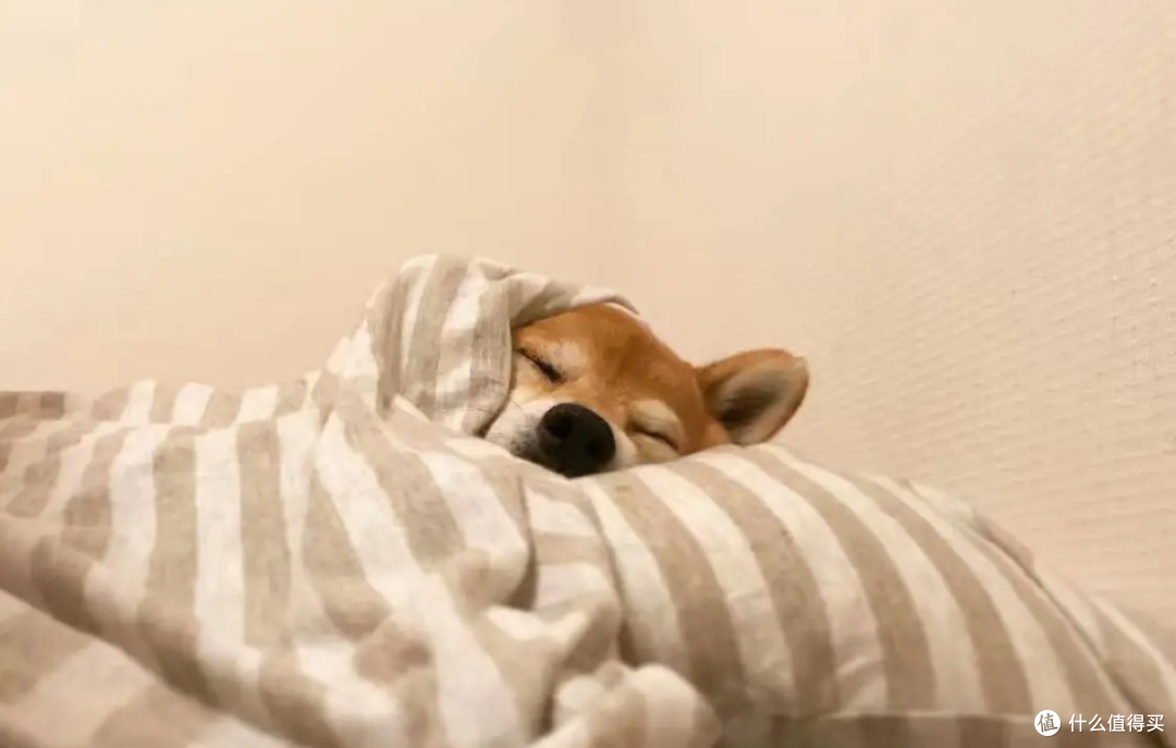 你的被窝还是冷冰冰的？如何打造暖暖的冬日被窝，得从这几件家纺下手！