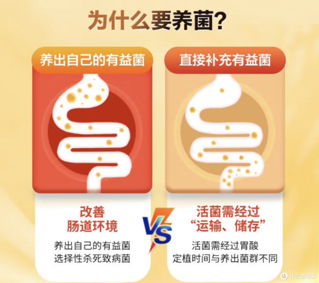 胃肠舒服，江中牌乳酸菌素片