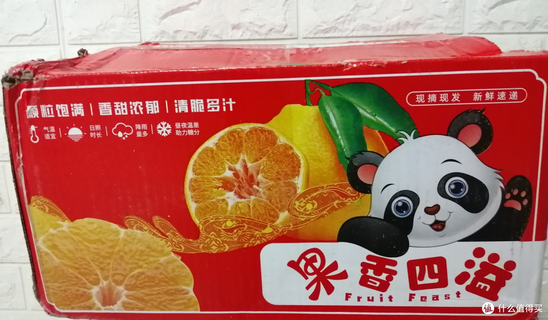话说 春见耙耙柑