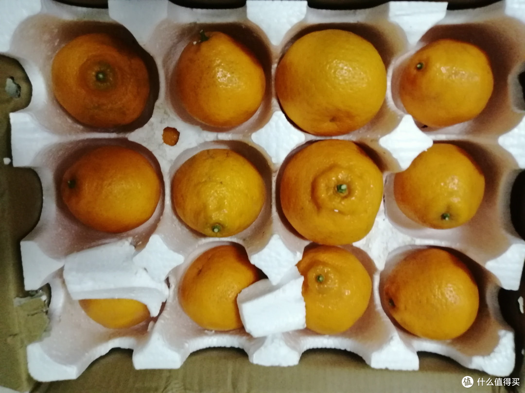 话说 春见耙耙柑