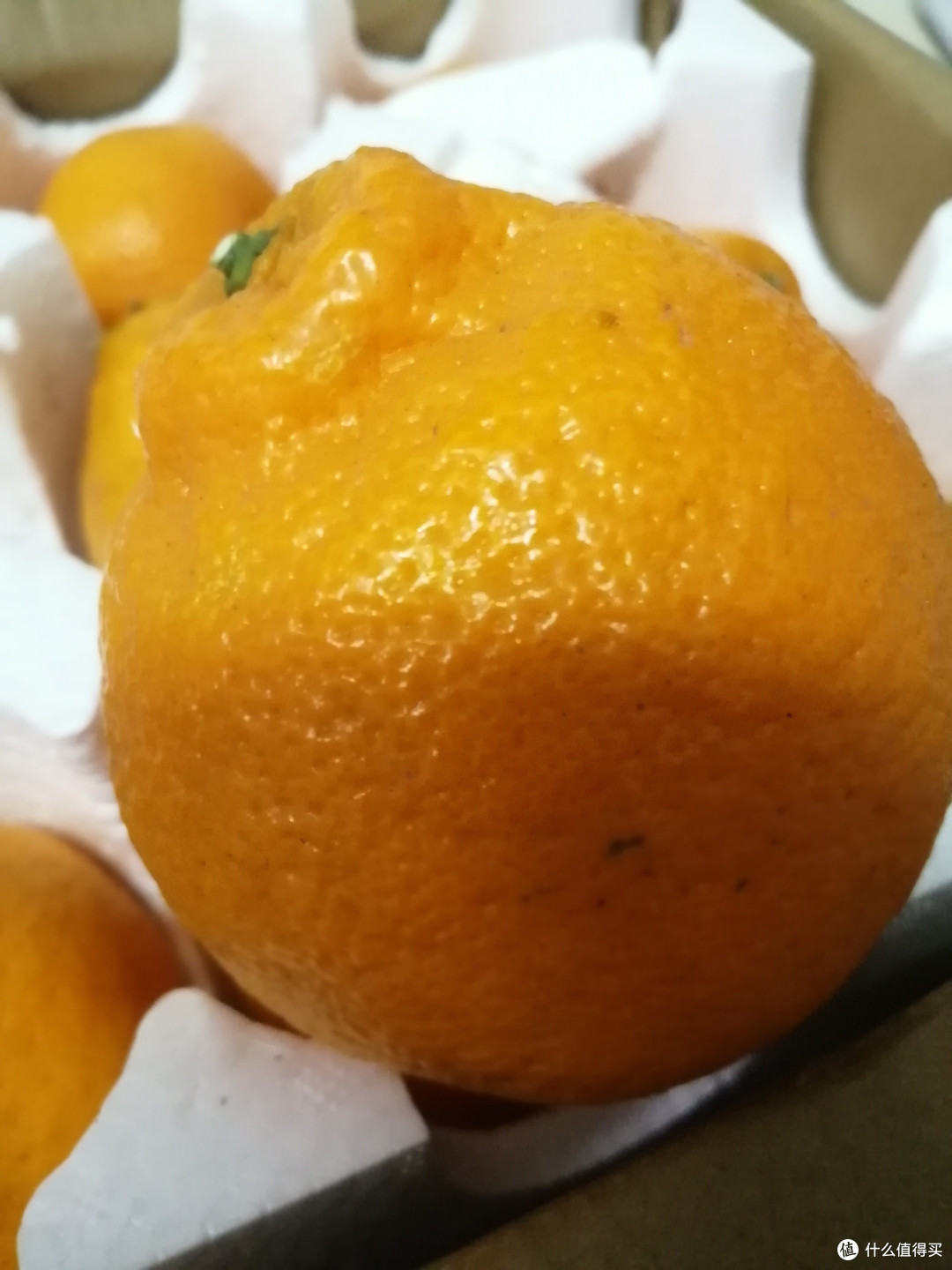 话说 春见耙耙柑