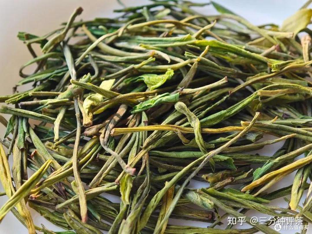 极白的安吉白茶怎么样？极白2023特级安吉白茶品鉴| 一日一茶 [2024/1/12]