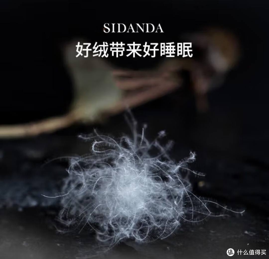 SIDANDA羽绒枕，让睡眠升级！五星级享受，只需一个枕头