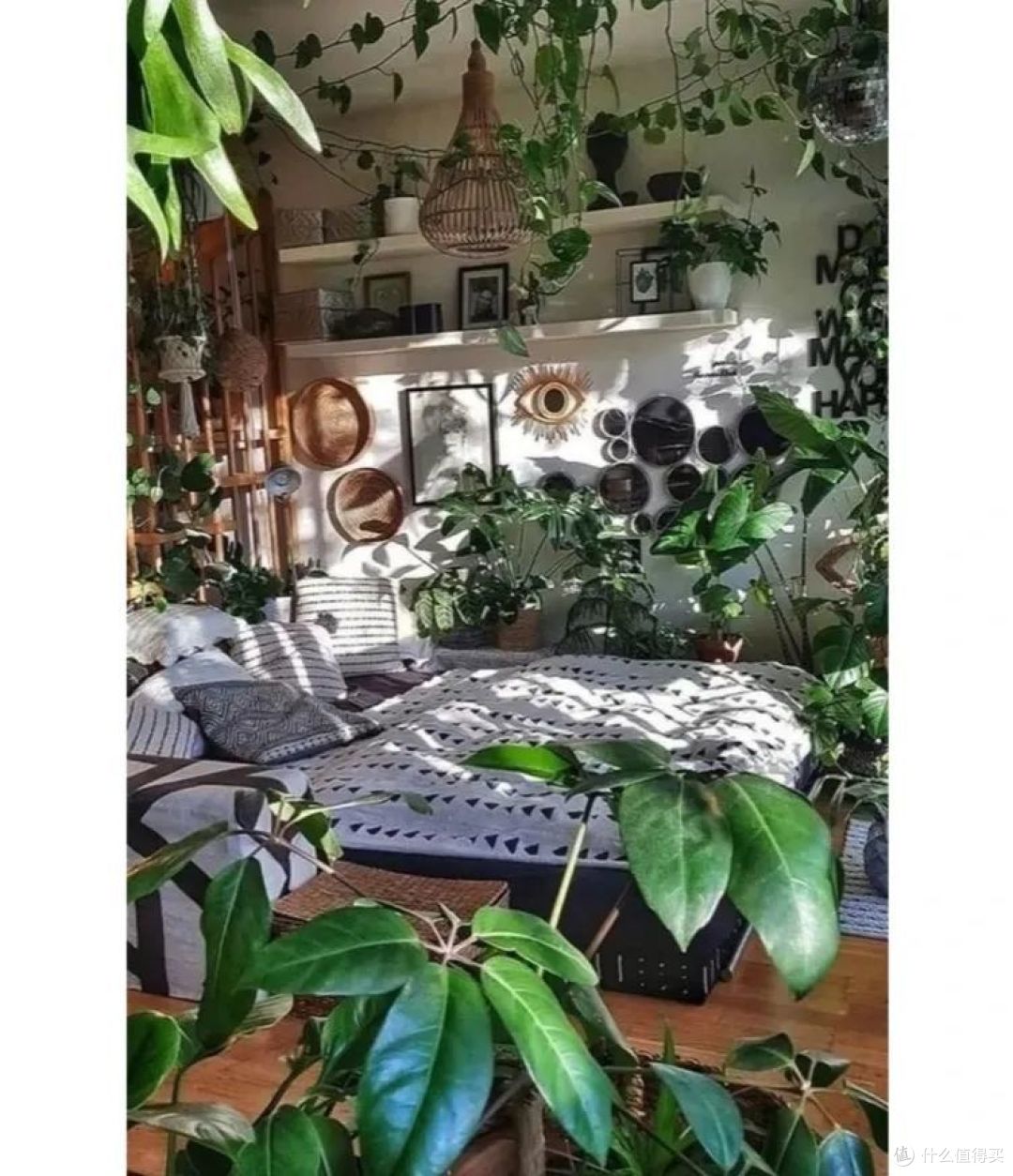 广东小姐姐的家,变成“清新小森林”,太治愈了,晒晒!