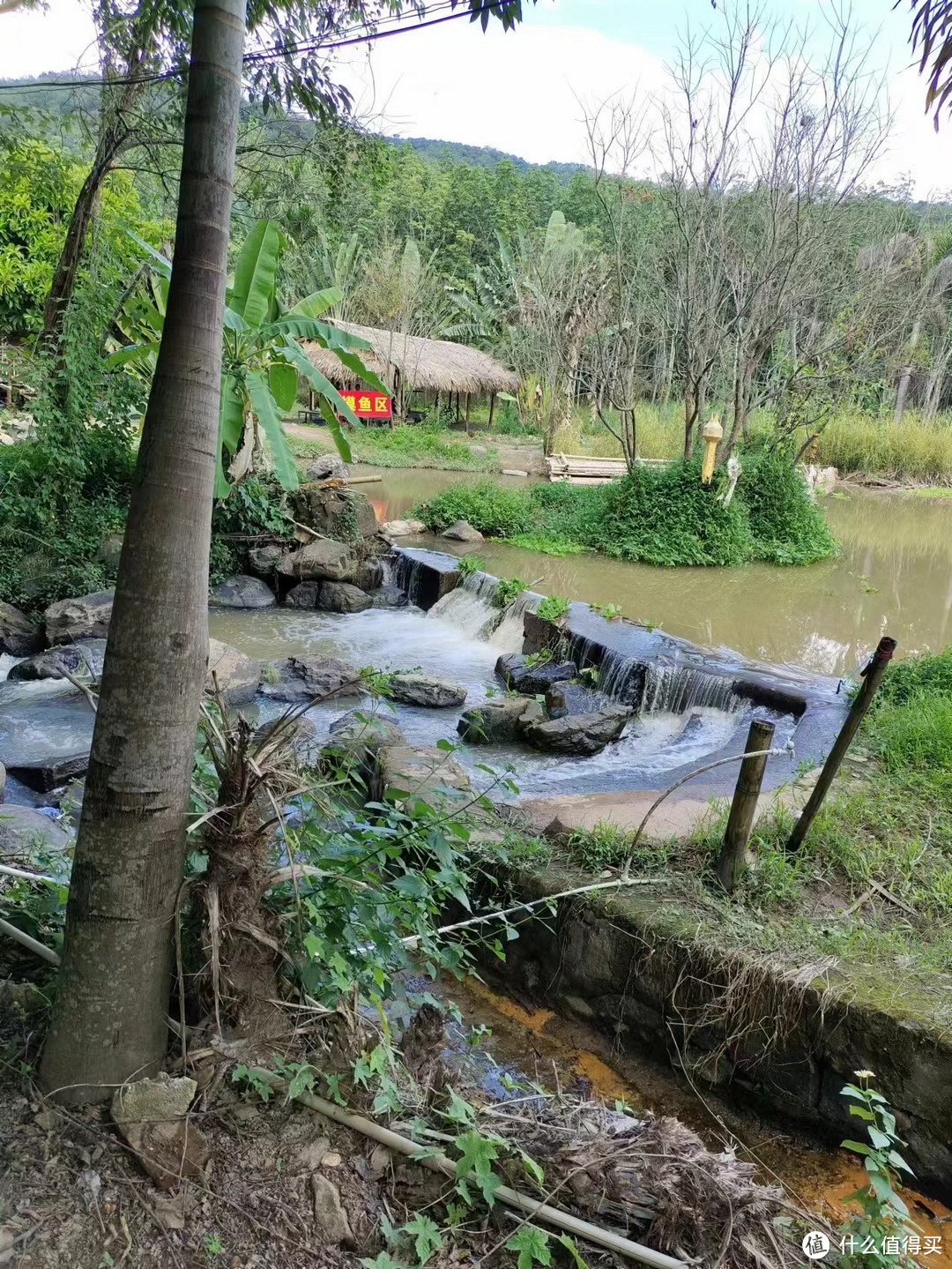 扶老携幼去旅行-昆明-西双版纳（下篇）