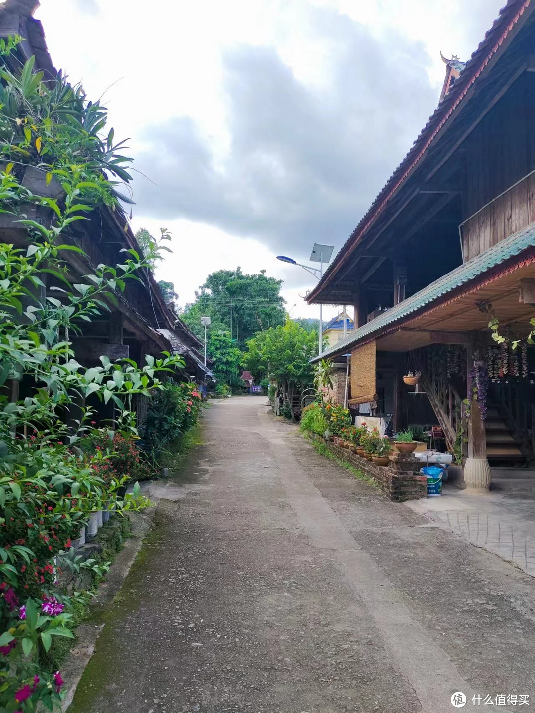 扶老携幼去旅行-昆明-西双版纳（下篇）