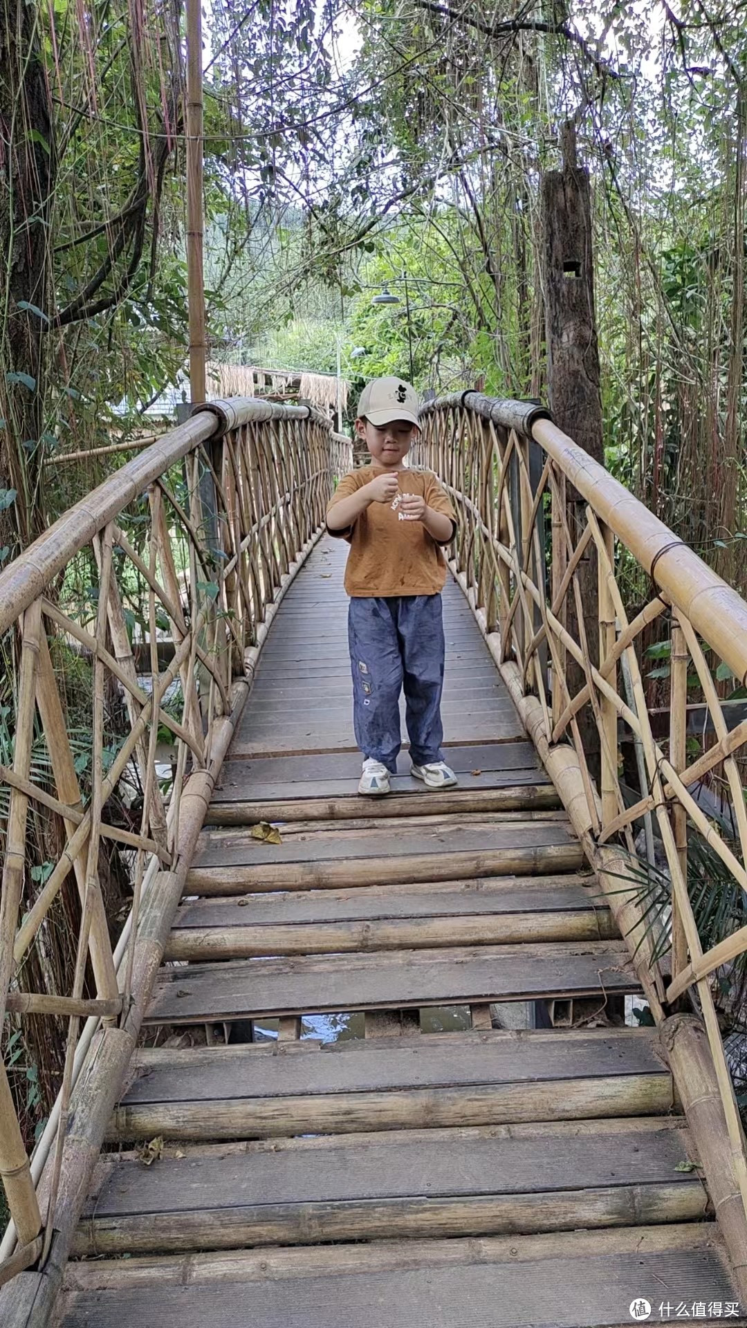 扶老携幼去旅行-昆明-西双版纳（下篇）