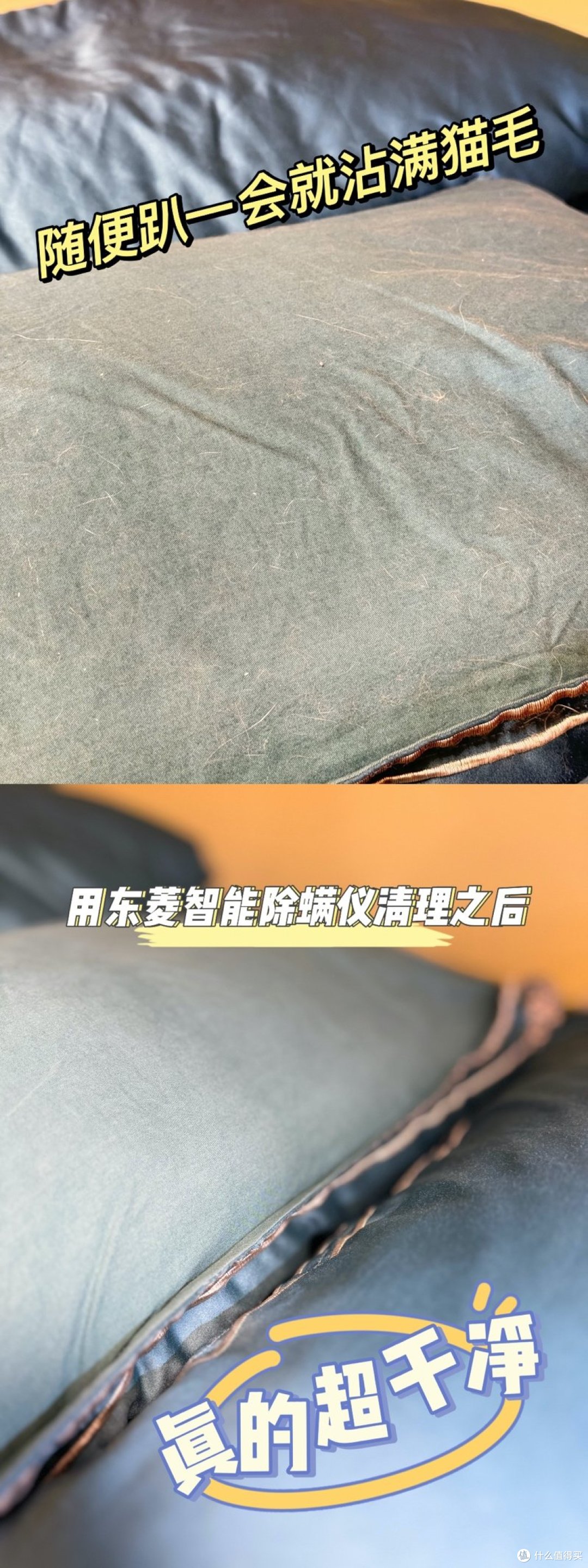 养宠家庭需要买除螨仪吗?看完这篇东菱智能除螨仪实机测评再决定