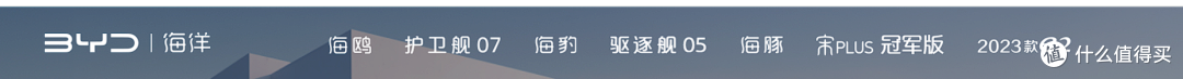 2024年初比亚迪海洋网盘点