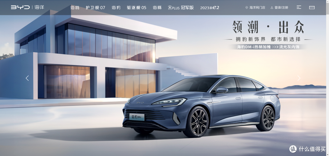 2024年初比亚迪海洋网盘点