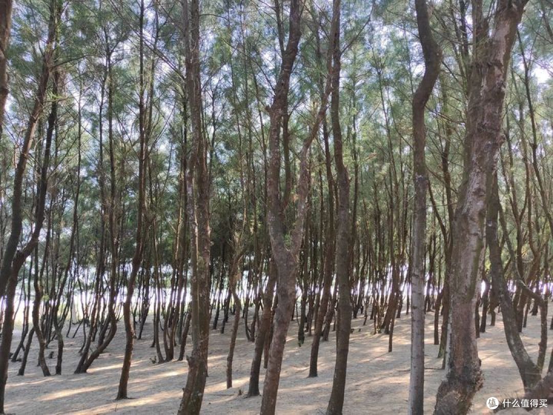 一路向西-粤西海岸线漫游记-3-晏景岭篇